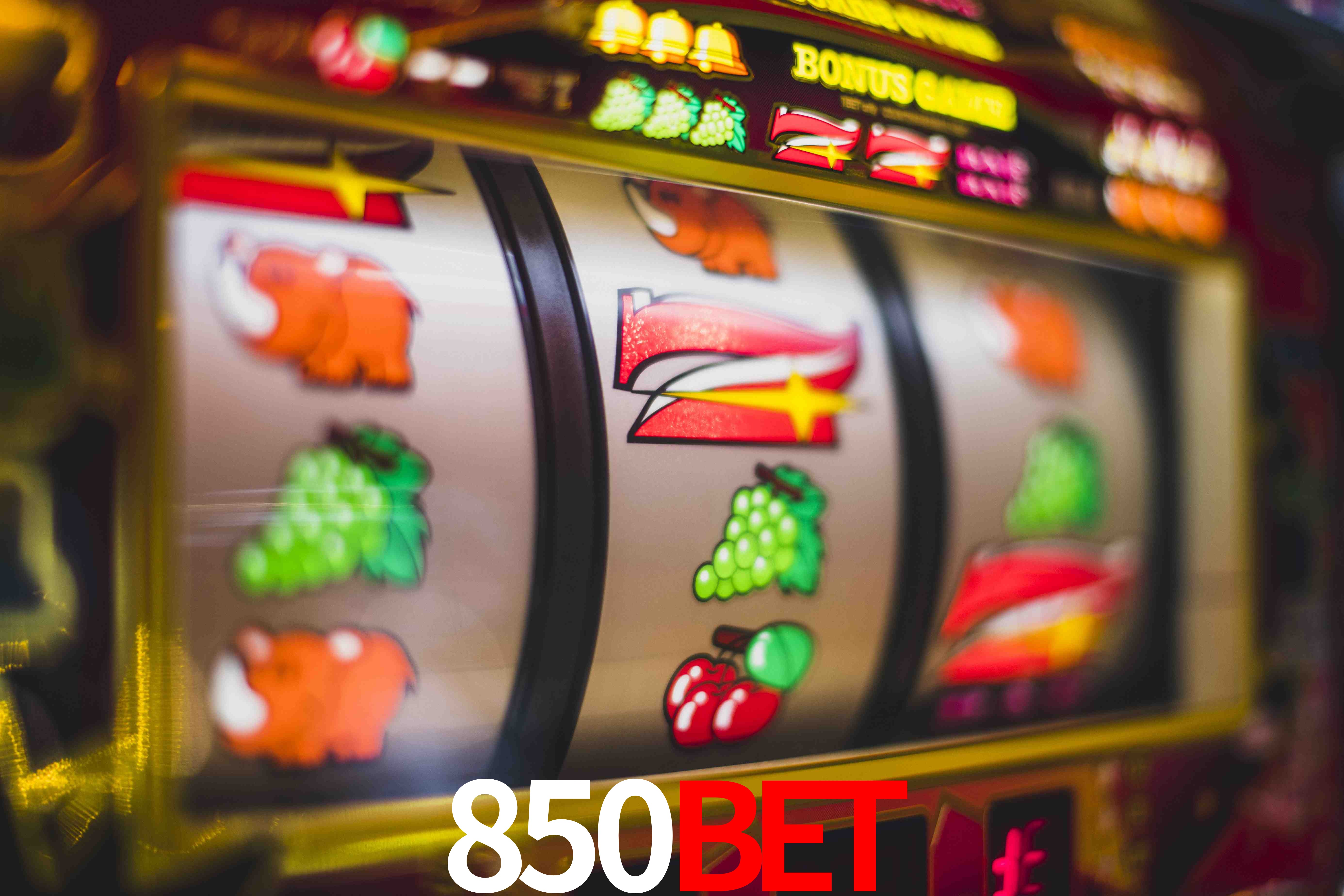 Statistics 850bet